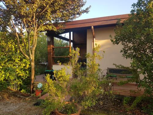 a house with a porch and some trees at Agriturismo Collelungo di Maremma in Diaccialone
