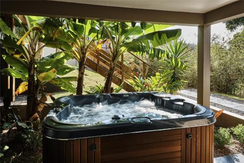un bain à remous installé sur une terrasse agrémentée de plantes dans l'établissement Villa Romeo, à L'Étang-Salé