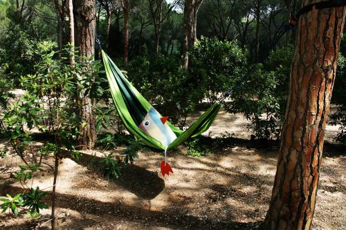 Taman di luar Camping Porto Sosàlinos