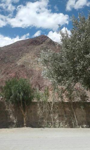 einen Berg mit zwei Bäumen auf einer Mauer in der Unterkunft Wara Wara in Purmamarca