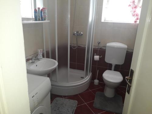 a bathroom with a shower and a toilet and a sink at Apartman Sanja in Ploče
