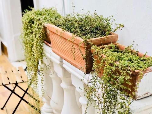 un balcón con dos plantadores llenos de plantas en I Lumi, en Catania
