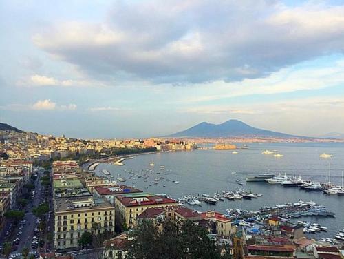 widok na port z łodziami w wodzie w obiekcie A casa di Peppe w mieście Napoli