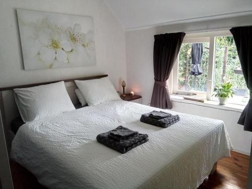 Un pat sau paturi într-o cameră la Breeveld Cottage