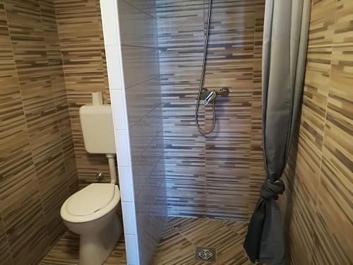 ハイドゥソボスローにあるHovirag apartman 1のバスルーム(トイレ、シャワー付)