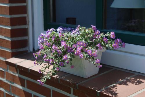a pot of purple flowers on a brick window sill at Ferienwohnung Nachbars Garten in Grünendeich