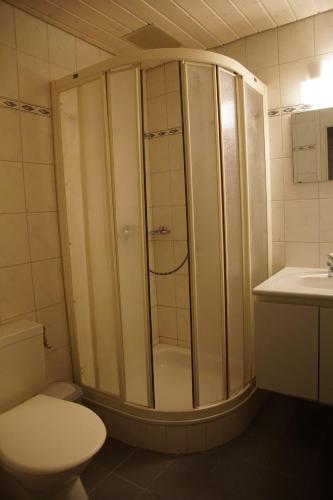 een badkamer met een douche, een toilet en een wastafel bij Hotel Gotthard in Brugg