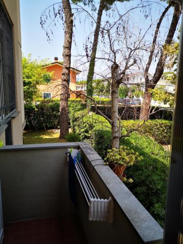 Κήπος έξω από το Casa Patri