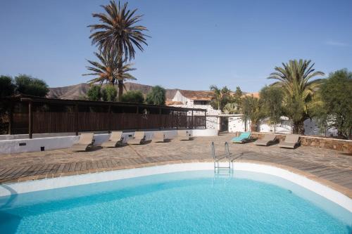 einen Pool mit Liegestühlen, Bäumen und Palmen in der Unterkunft Rural Rugama in Puerto del Rosario