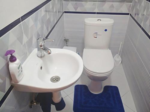 a bathroom with a sink and a toilet at Грушевського 13 in Berehove