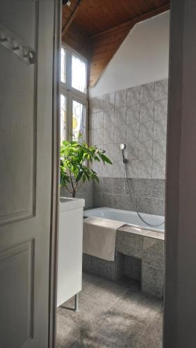 een badkamer met een bad en een potplant bij Flaneurstudio in Szentendre