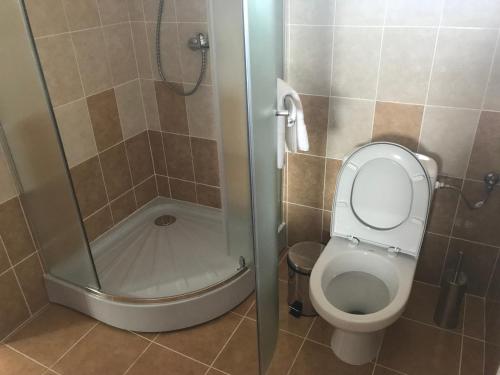een badkamer met een douche, een toilet en een douche bij Pensiunea Granada in Covasna