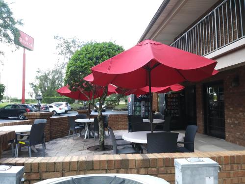 a patio with tables and chairs with red umbrellas at Ramada by Wyndham Temple Terrace/Tampa North in Tampa