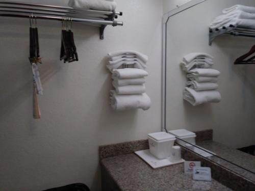 a bathroom with a mirror and a pile of towels at Ramada by Wyndham Temple Terrace/Tampa North in Tampa