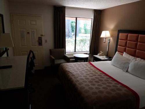 a hotel room with a bed and a window at Ramada by Wyndham Temple Terrace/Tampa North in Tampa