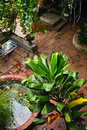 Fotografie z fotogalerie ubytování hotel florita v destinaci Jacmel