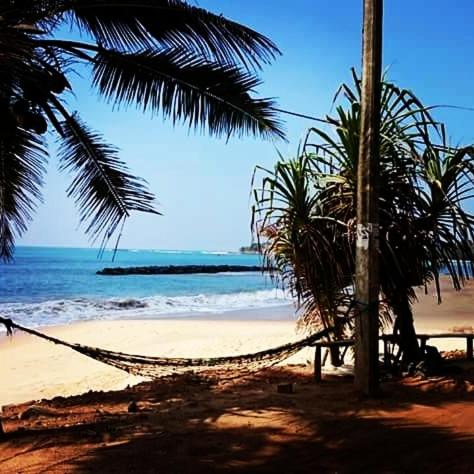a hammock on a beach next to the ocean at Chandi Gaya Beach Guesthouse in Tangalle
