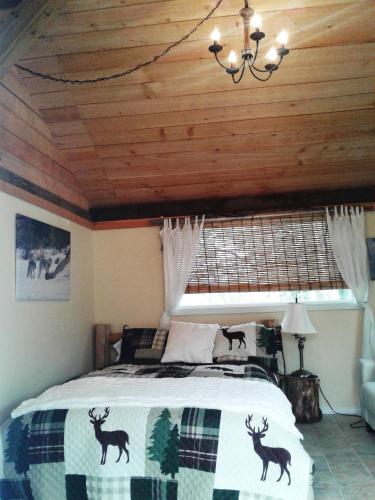 Eagle Bear Lodge – Photos 4