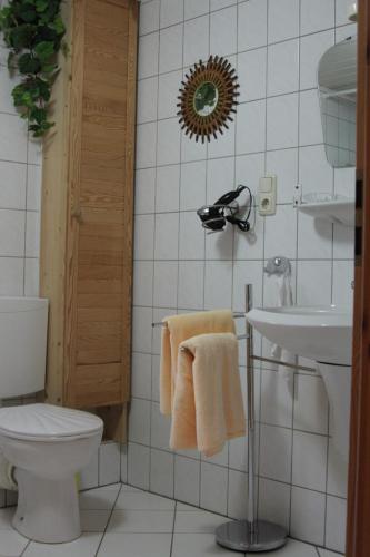 a bathroom with a toilet and a sink at Ferienhaus Eifelperle in Blankenheim