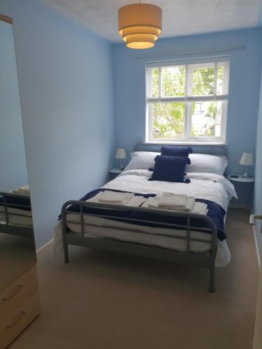 a bed in a blue room with a window at The Annex Apartment in Weymouth