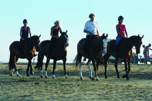 a group of people riding horses on the beach at Fletcher Hotel Restaurant De Witte Raaf in Noordwijk