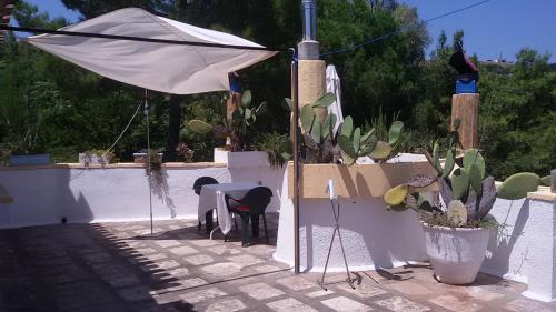 a patio with a table and an umbrella and plants at La Terrazza on Acquaviva in Marittima