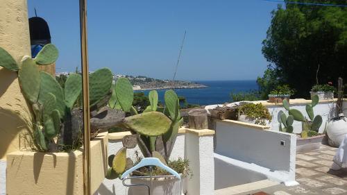 a view of the ocean from a balcony with cactus at La Terrazza on Acquaviva in Marittima