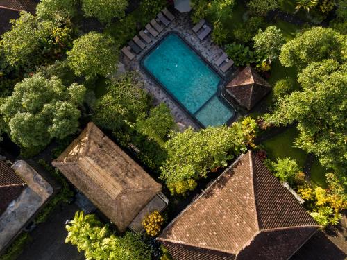 an overhead view of a swimming pool in a garden at Sri Ratih Cottages, CHSE Certified in Ubud