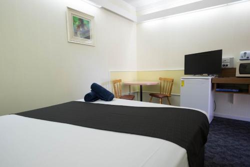 a bedroom with a bed and a table with a television at Pioneer Station Motor Inn in Swan Hill