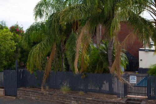 a palm tree in front of a blue fence at Pioneer Station Motor Inn in Swan Hill