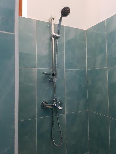 a shower with a shower head on a tiled wall at Daeli Apartment in Kendwa