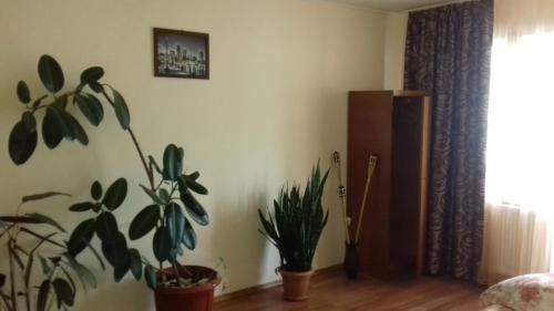 a room with two potted plants on the wall at Apartament Relax in Sovata