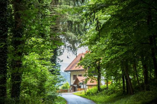 Fotografia z galérie ubytovania Schlossferienhaus v destinácii Wies