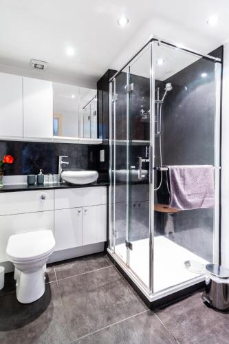 a bathroom with a shower and a toilet and a sink at Mycosy on the river in Aberdeen
