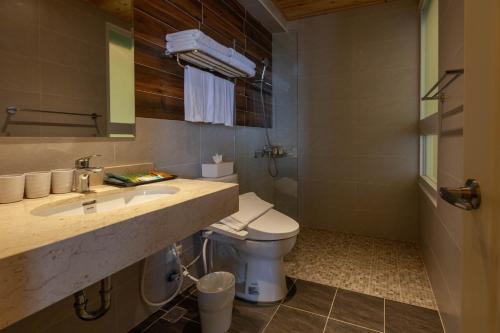 a bathroom with a toilet and a sink and a mirror at Sea Dragonfly in Yanliau