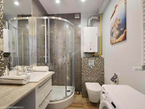 a bathroom with a shower and a toilet and a sink at Baltic Apartament in Pobierowo