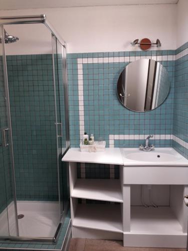 a bathroom with a sink and a shower at Le Marais Picotin in Saint-Pierre-le-Vieux