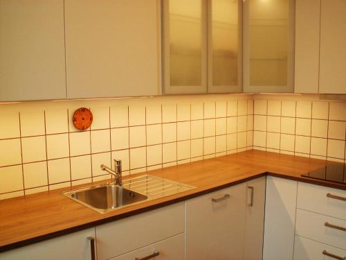 eine Küche mit einem Waschbecken und einer Arbeitsfläche aus Holz in der Unterkunft Sylt in Leck