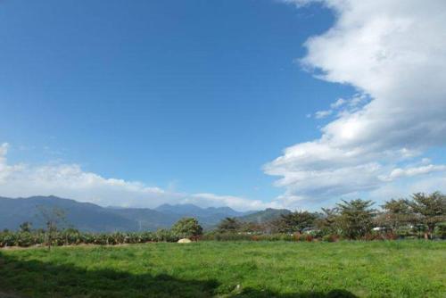 a field of green grass with mountains in the background at Rose Cottage B&B in Taitung City