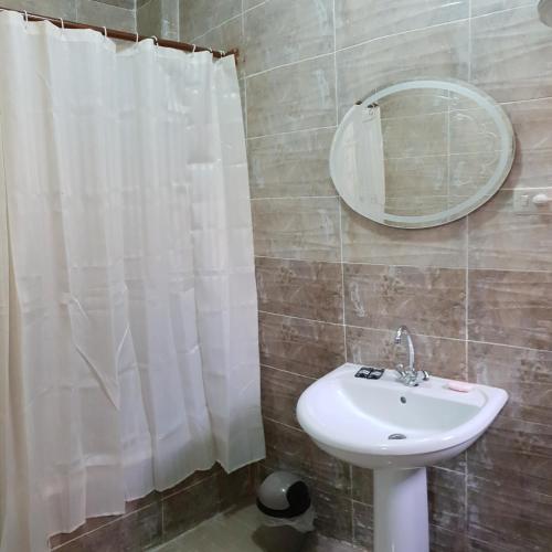 a bathroom with a sink and a mirror at Caesar House in Alexandria