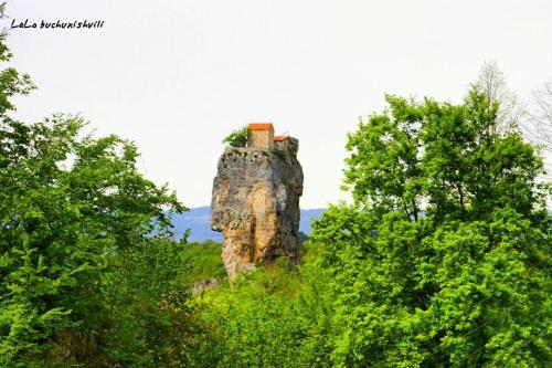 Příroda nedaleko penzionu