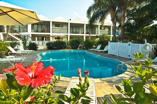 a pool in front of a hotel with a red flower at The Beachcomber St. Pete Beach Resort & Hotel in St. Pete Beach