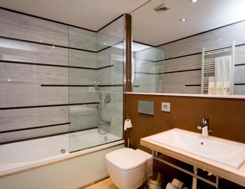a bathroom with a shower and a toilet and a sink at Hotel La Sèquia Molinar in Campdevánol