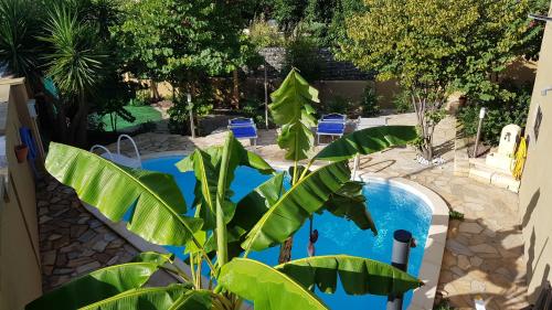 una planta junto a una piscina con sillas azules en Piero's Apartment, en Carbonia