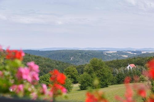 einen Blick auf einen Berg mit Blumen im Vordergrund in der Unterkunft Gasthaus Hummel in Duggendorf