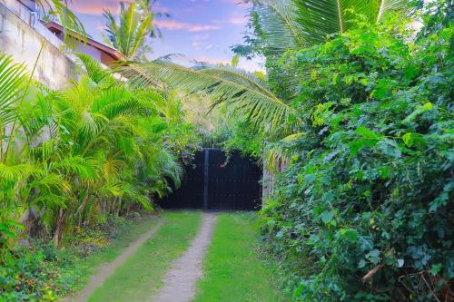 a gate in the middle of a garden with palm trees at Eagle Homestay in Tangalle
