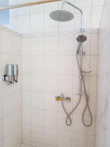 a shower with a shower head in a bathroom at Grüne Stadtrandidylle - 22 min bis Potsdamer Platz in Berlin