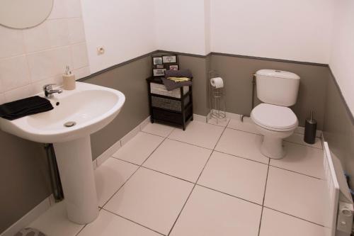 A bathroom at Duplex de charmes n°1 Auxerre.