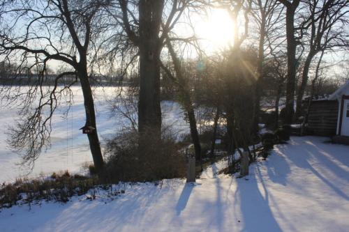 a snow covered yard with the sun shining through the trees at Ferienhaus direkt am Schmalensee in Schmalensee
