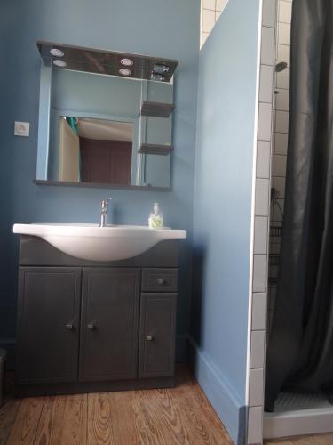 une salle de bain avec un lavabo et un miroir dans l'établissement Cour et Jardin, à Revin